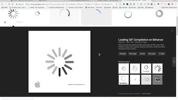 1 findUserById web service webdev spring 2017 morning 2/21/2017