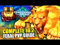 Complete 102 feral druid pvp guide  talents bis gear rotation and more