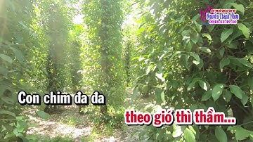 Karaoke vườn tiêu quê mẹ 1-2-6