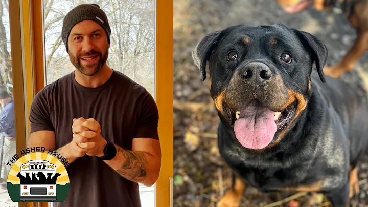 A beautiful update on the rottie, Mika | The Asher House