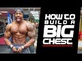HOW TO BUILD A BIG CHEST | Simeon Panda