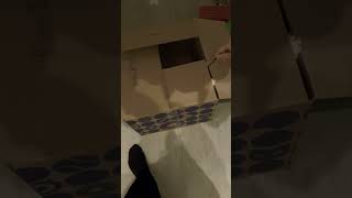 Kun Jij Nala Vinden In Deze Video