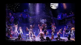 The Jellicle Ball  Cats México 2019