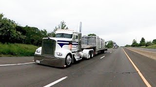 Sound up!! My COOLEST day cabs! #largecar #diesels #kw #peterbilt #blacksmoke #jaking #catapillar