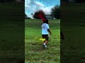 HE LANDED IT AND WENT STRAIGHT TO THE NEAREST STR 