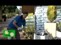 Plantas y arbustos de temporada