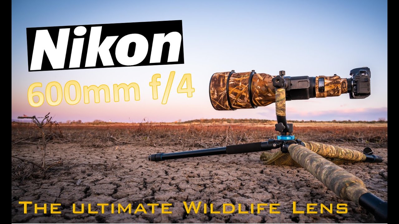 Nikon lenses! Review! Nikon 600mm F4. The best lens for wildlife