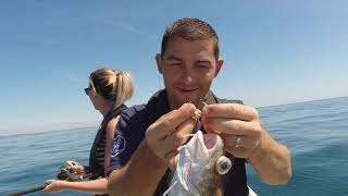 Sea Fishing Cornwall  Mixed Species fishing with the family.