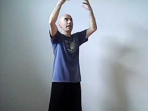 ხეებთან ურთიერთობა, ენერგიის ცვლა და ტრანსფორმაცია