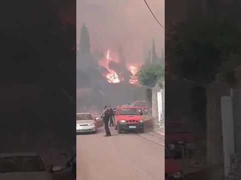 Μεσσηνία: Η πυρκαγιά μπήκε στο Καρνάσι