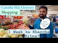 Grocery prices in canada in 2024  walmart canada  grocery shopping vlog  vlog 3