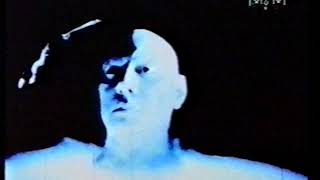 armando - the future ( mcm tv )