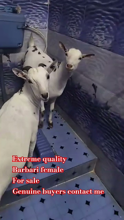 8454842500