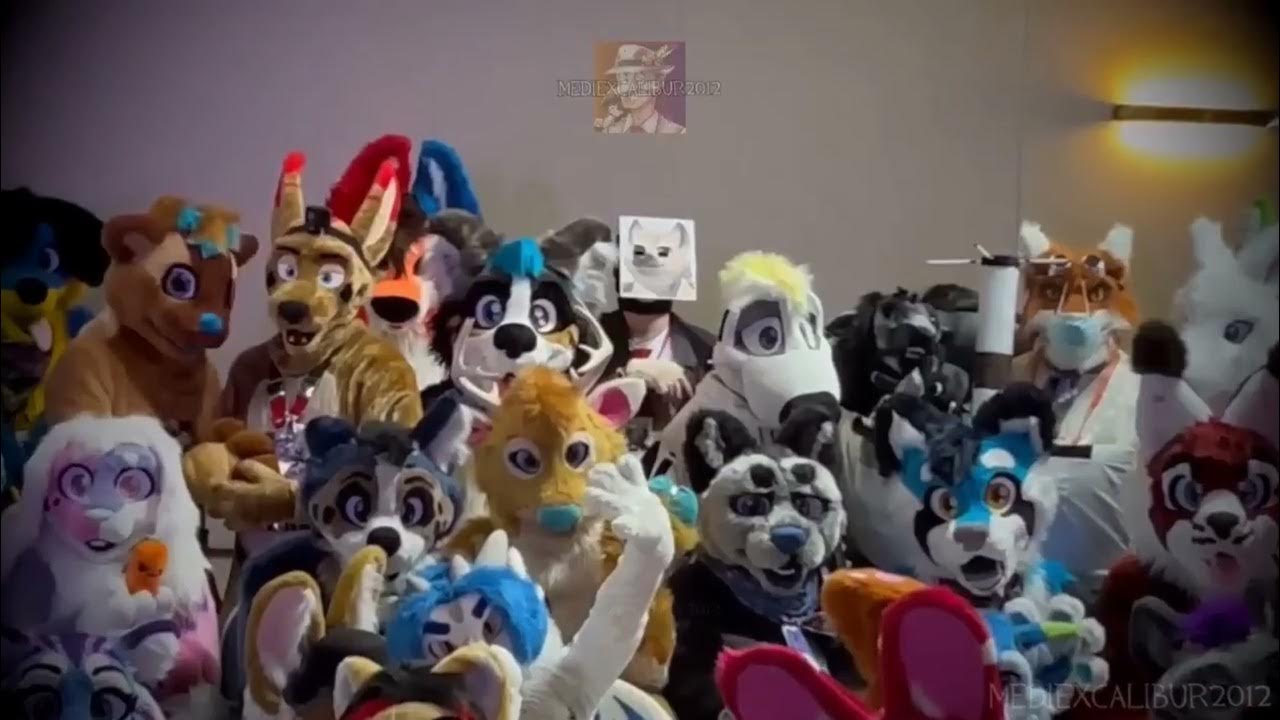 What Is Room 366 At A Furry Convention