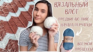 ВЯЗАЛЬНЫЙ ВЛОГ №88 | Все мои процессы | Кашемир от Ареола | Начала перчатки мужу