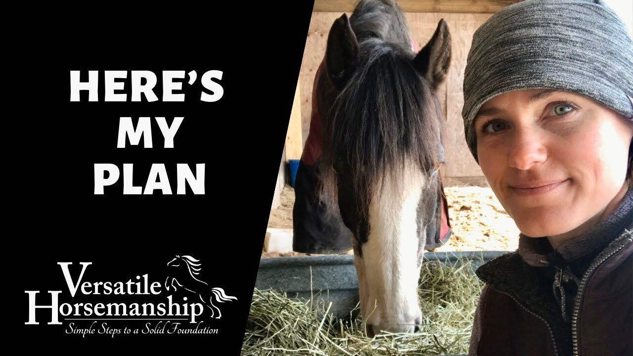 🔴 HERE’S MY PLAN (live-stream) // Versatile Horsemanship