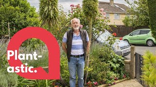 Green-Fingered Pensioner Thrilled After Plant Shot To Over 14Ft Swns
