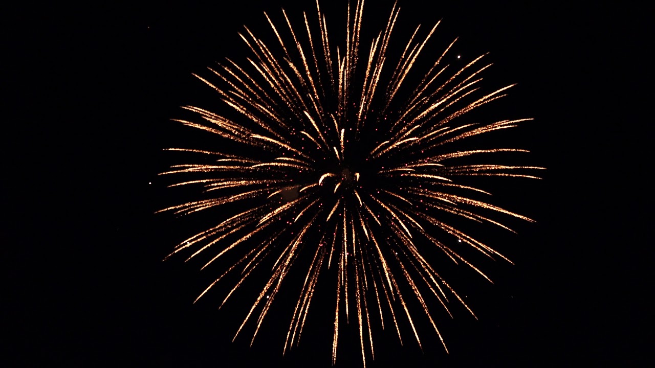 中止 第43回 海洋博公園花火大会 沖縄 21花火大会情報 Amatavi