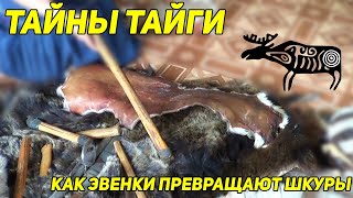 картинка: ТАЙНЫ ТАЙГИ: Как эвенки превращают шкуру дикого зверя в роскошную одежду и уютное тепло