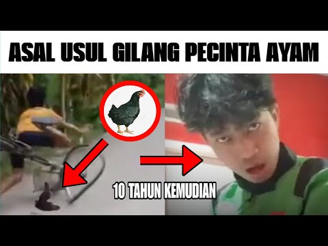 Asal Usul Gilang Pecinta Ayam...