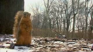 MSUToday: Spring will come to Michigan State