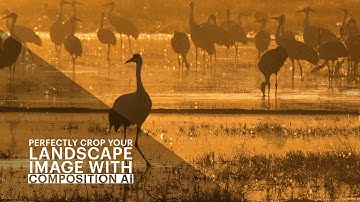 Perfectly Crop Your Landscape Image with Composition AI