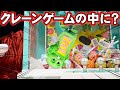 ちょ、ちょっとたすけて〜!クレーンゲームの中に閉じ込められた!?