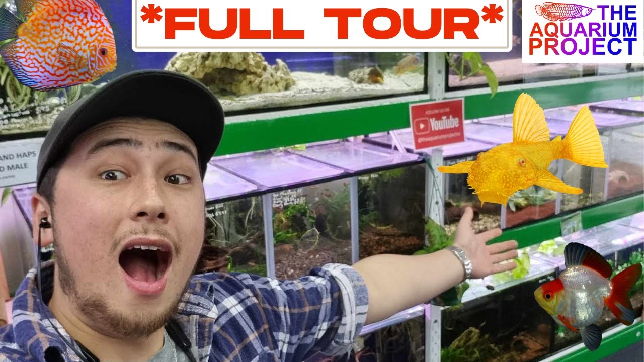 Store Tour of Auckland's Best Aquarium Shop YouTube