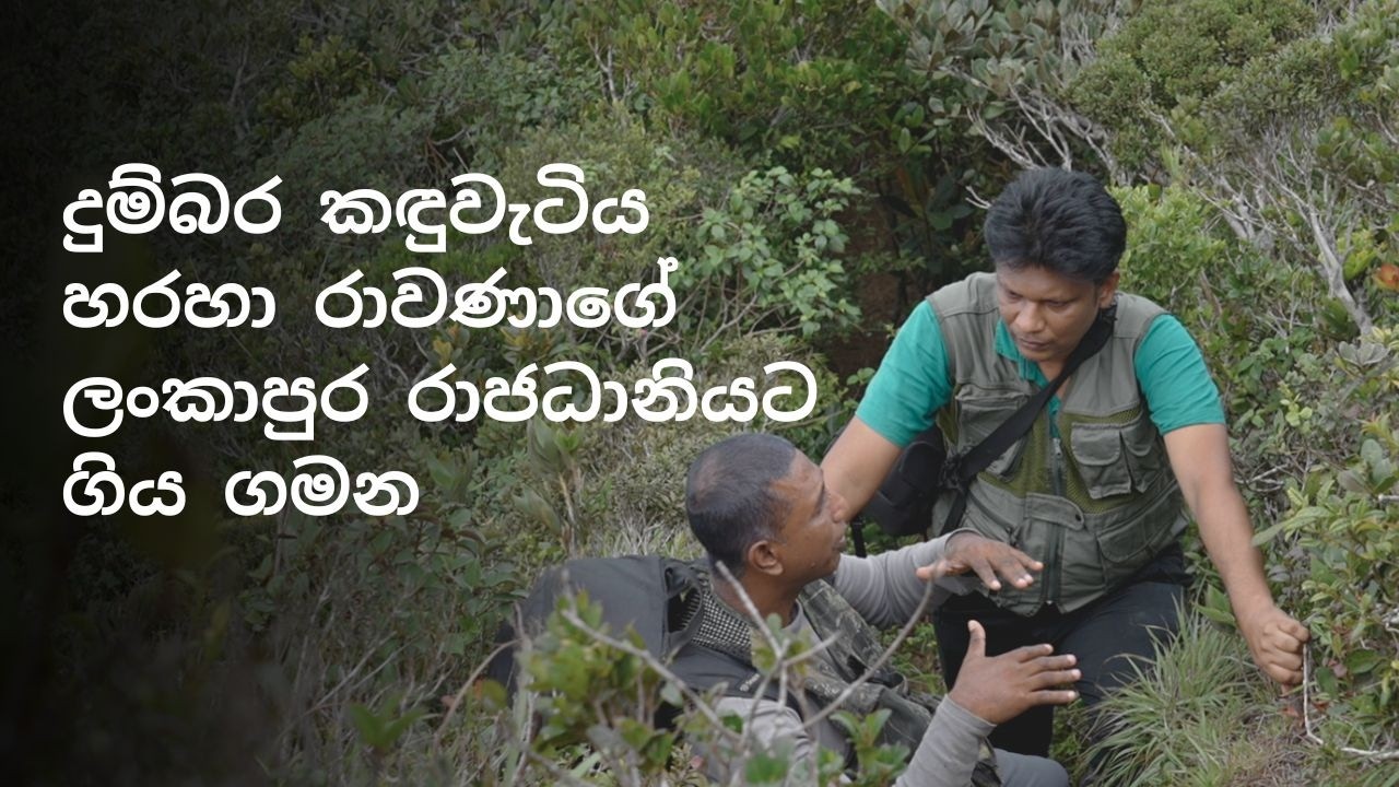 දුම්බර කඳුවැටියේ සැඟවුණු රාවණා පුරාවෘත්තය, වනසතුන් සහ ඉතිහාසය සොයා යෑම| BBC News සිංහල
