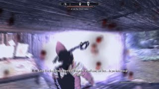 WTF moment in Skyrim