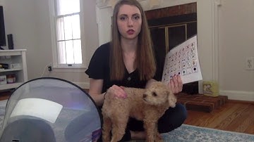 Aided Language Stimulation:   Unstructured Activity