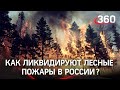 Охвачены огнем: лесные пожары полыхают сразу в нескольких субъектах России