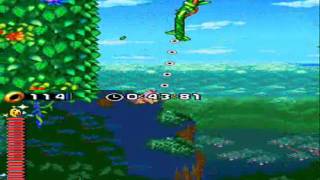 Sonic Rush [DS]blaze part2