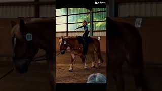 Pflicht & Einzel-Kürübungen - WBO Hofturnier - Kultur Aktiv 3 (Minis) #voltigieren #vaulting