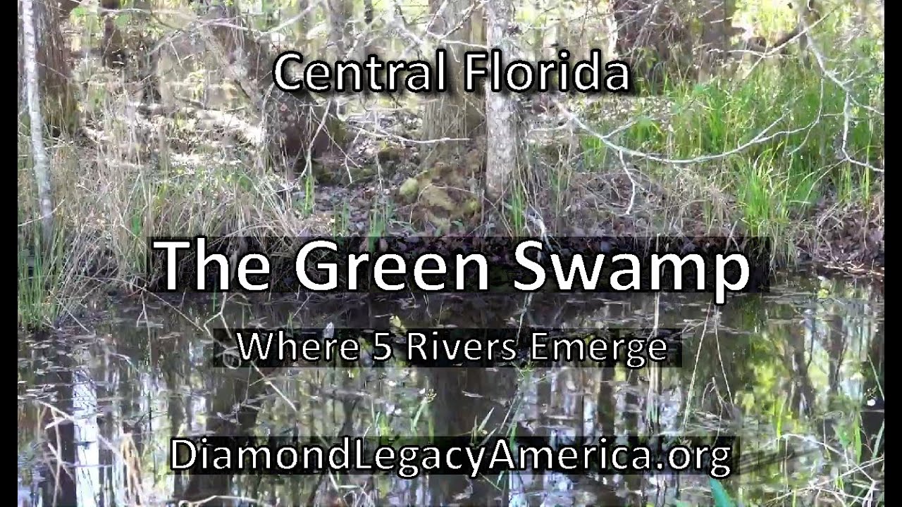 Green Swamp Florida Where five Rivers Begin YouTube