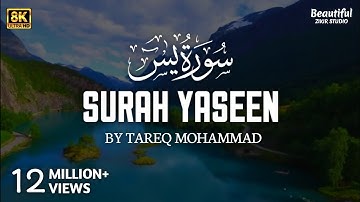 Surah Yasin (Yaseen) سورة يس | THIS WILL TOUCH YOUR HEART إن شاء الله | #surahyasin