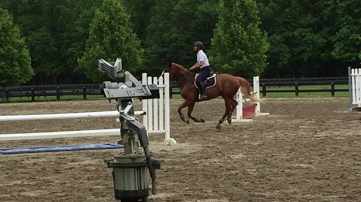 Ann Kursinski lesson
