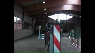 Indoorcross Training Ulevel Burggraaf & Ed Boxman Hippisch Centrum De Achterhoek 26 Febr 2012