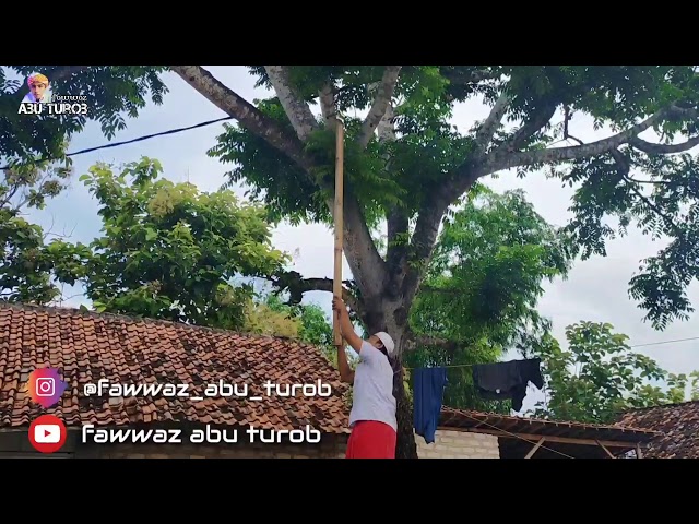 NGAKAK ABIS - KUMPULAN VIDEO KIAI & SANTRI class=