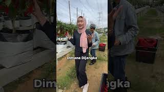 Ipr Intan Pelangi Damansara