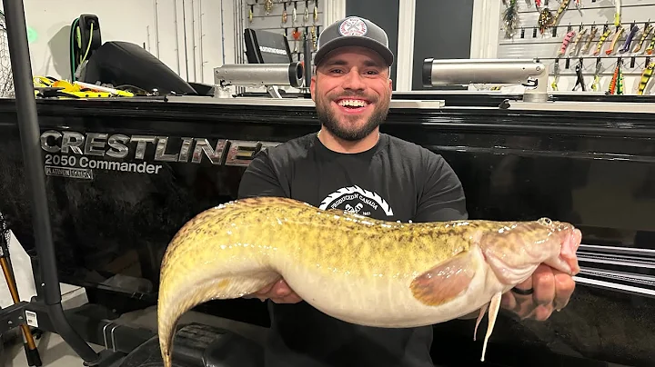 How to Clean a Burbot