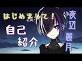 【自己紹介】夜辺麗月です、よろしくね。【VTuber】