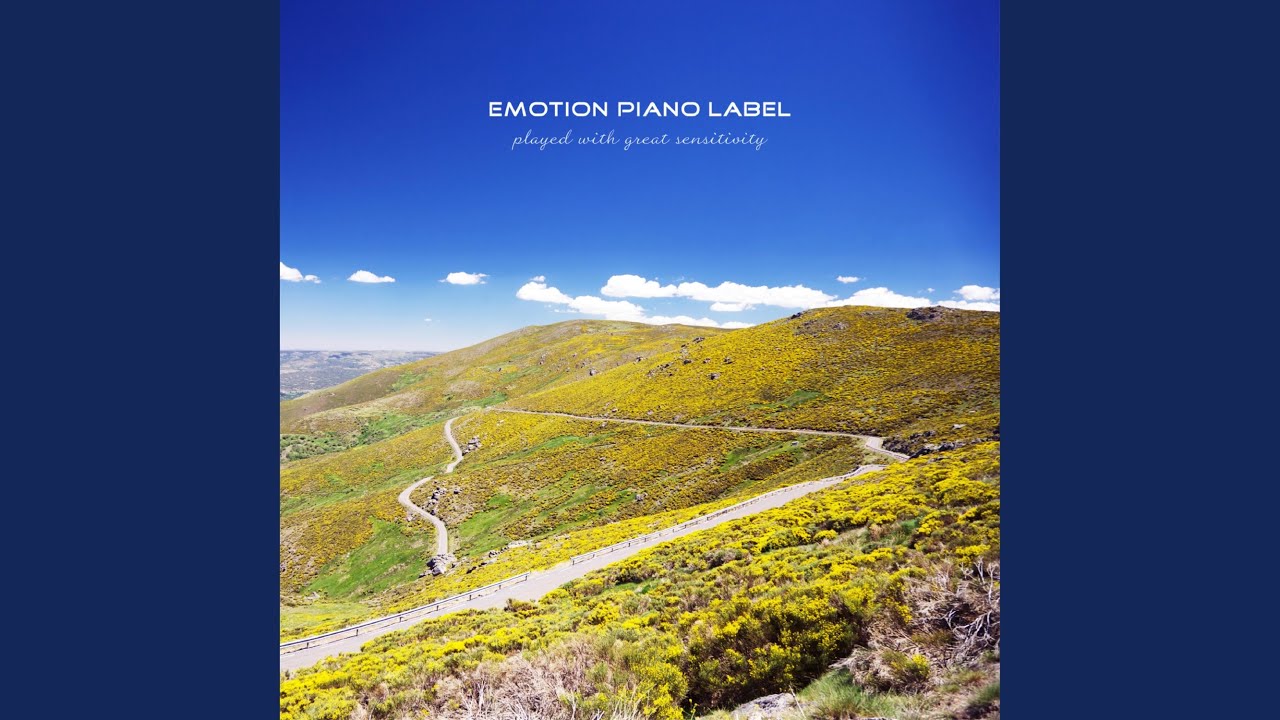 Sunshine wraps you YouTube