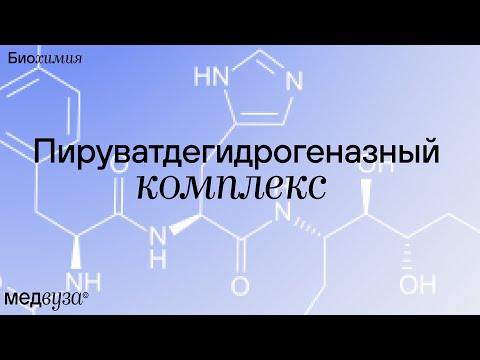 Пируватдегидрогеназный комплекс | Биохимия