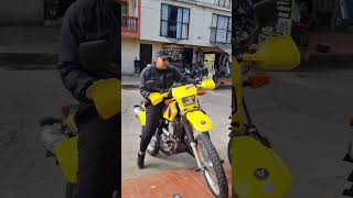 Suzuki Dr650 O Freewind 650?