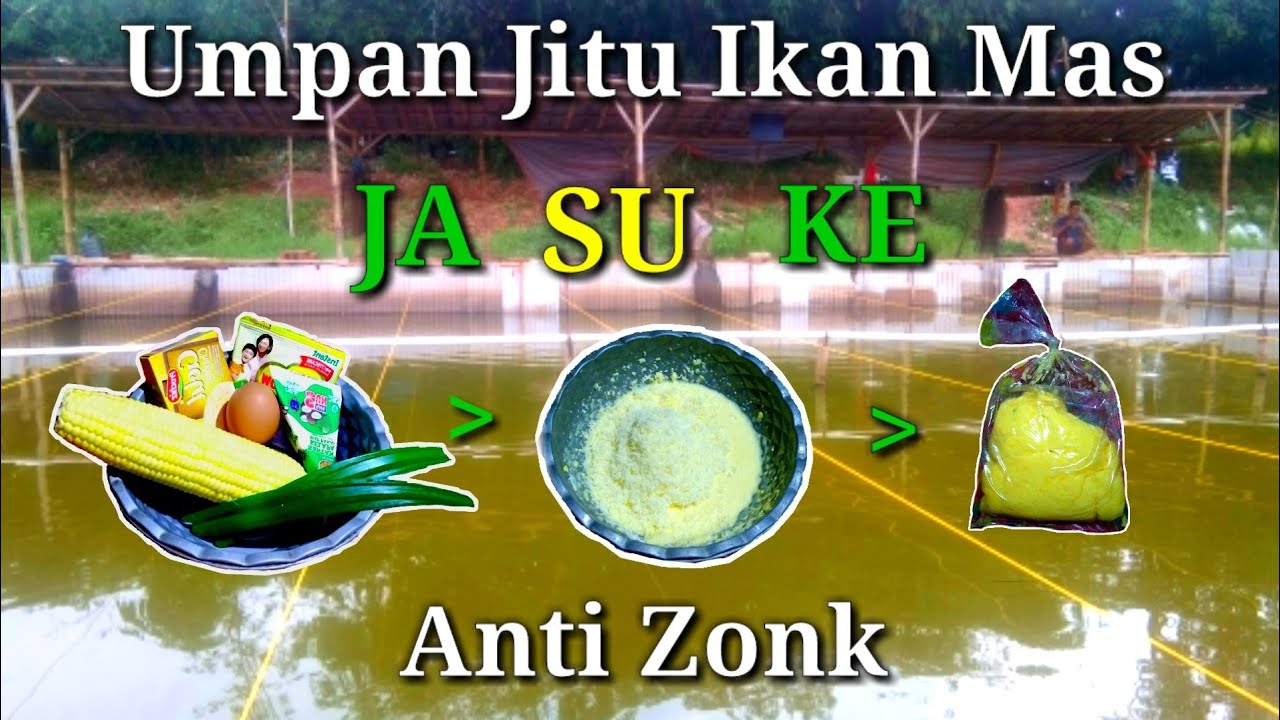 Umpan JASUKE ikan mas untuk harian anti zonk,wajib dicoba.