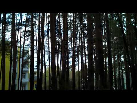 Мокша г.Ковылкино