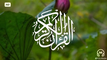 قرآن كريم بصوت احمد العجمي | حالات واتس اب