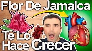 ¡EL PODER SECRETO DE LA FLOR DE JAMAICA! - Mejora Tu Salud, Virilidad y Vitalidad