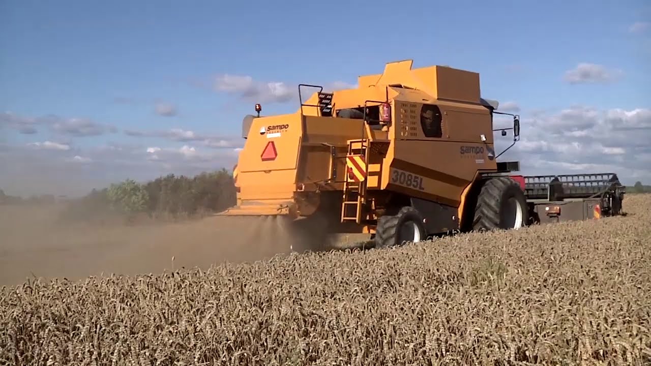 Sampo tröskar höstvete